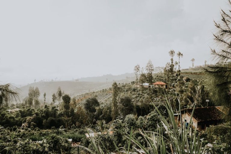 Exploring the World Through Travel Blogging: A Journey of Discovery
